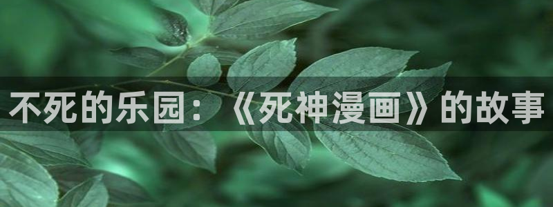 漫蛙@2：不死的乐园：《死神漫画》的故事