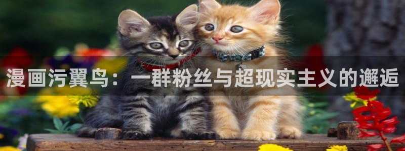 漫蛙2manw：漫画污翼鸟：一群粉丝与超现实主义的邂逅